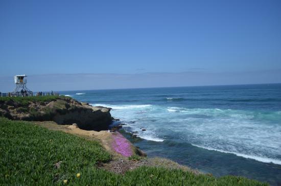 Ellen Browning Scripps Park